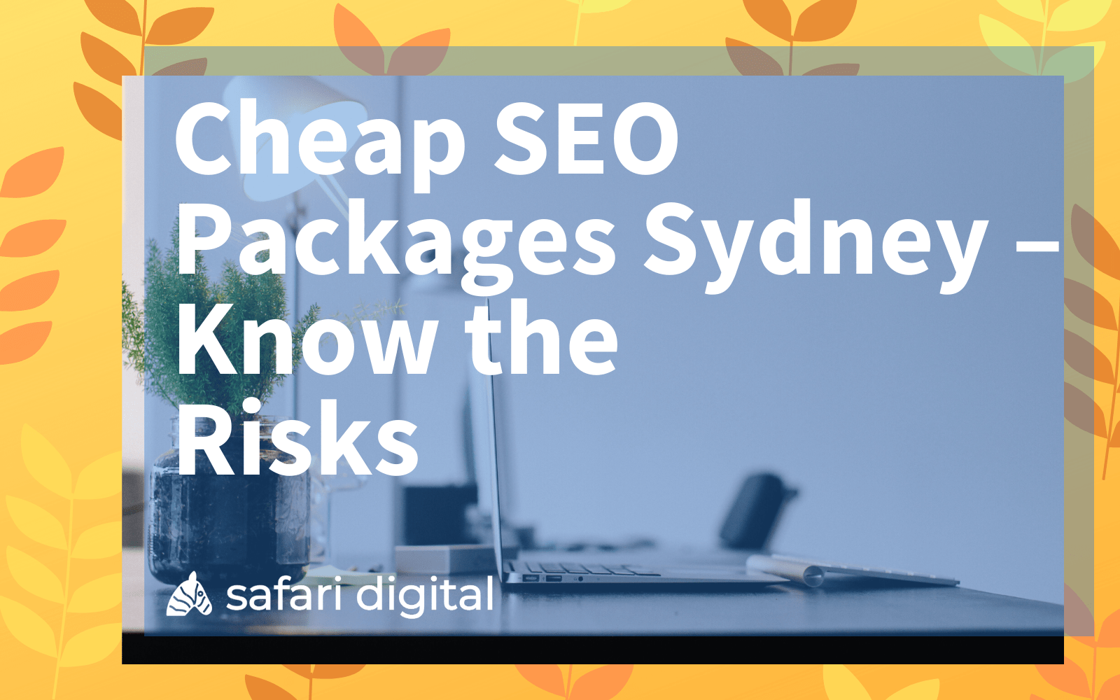 cheap SEO packages Sydney