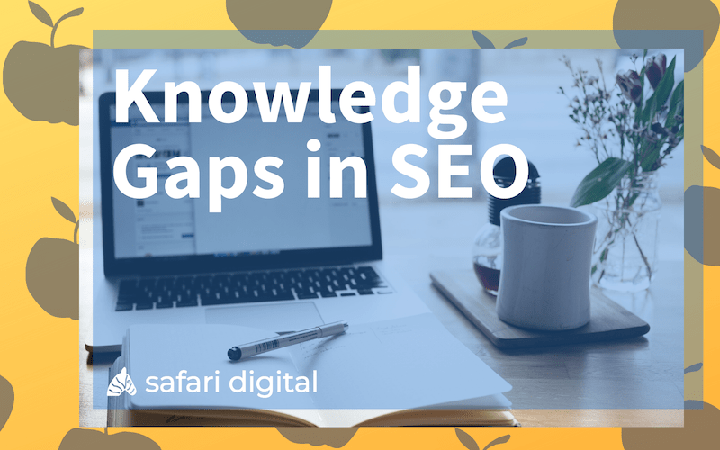 knowledge gaps in SEO - small cover image