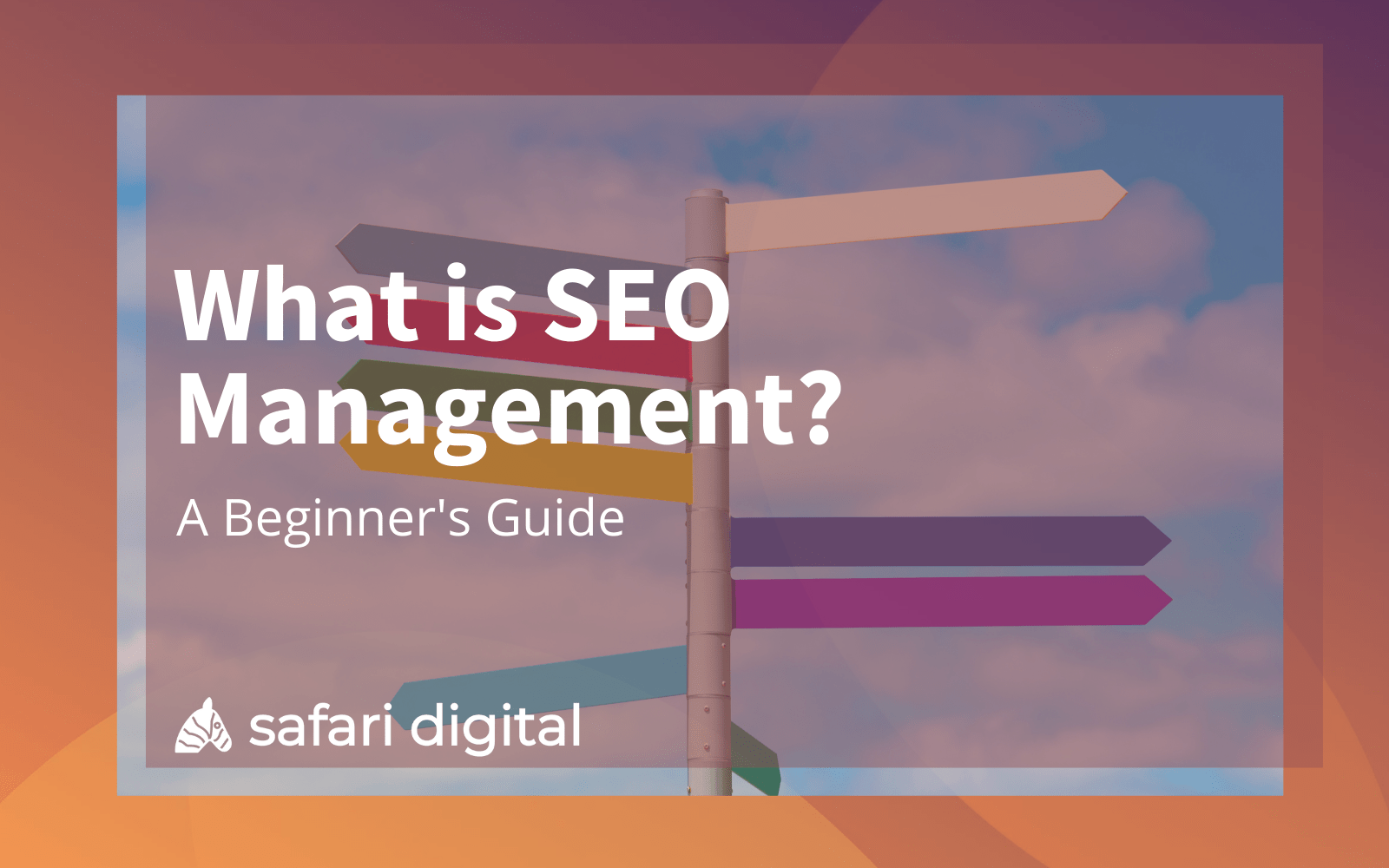 what is SEO Management? (article cover image)