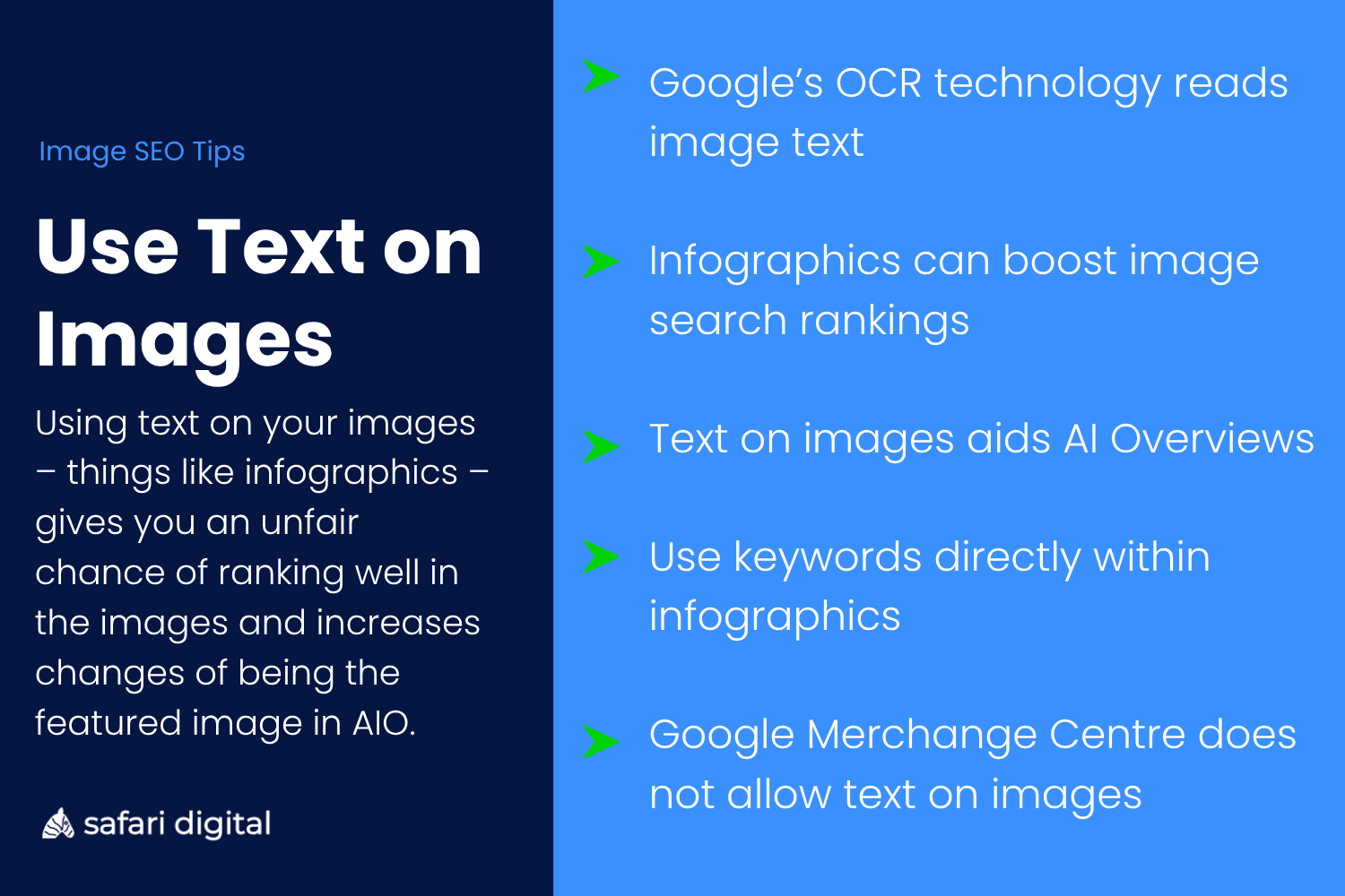 4-use-text-on-images-for-image-seo Use Text on Images for SEO Infographic
