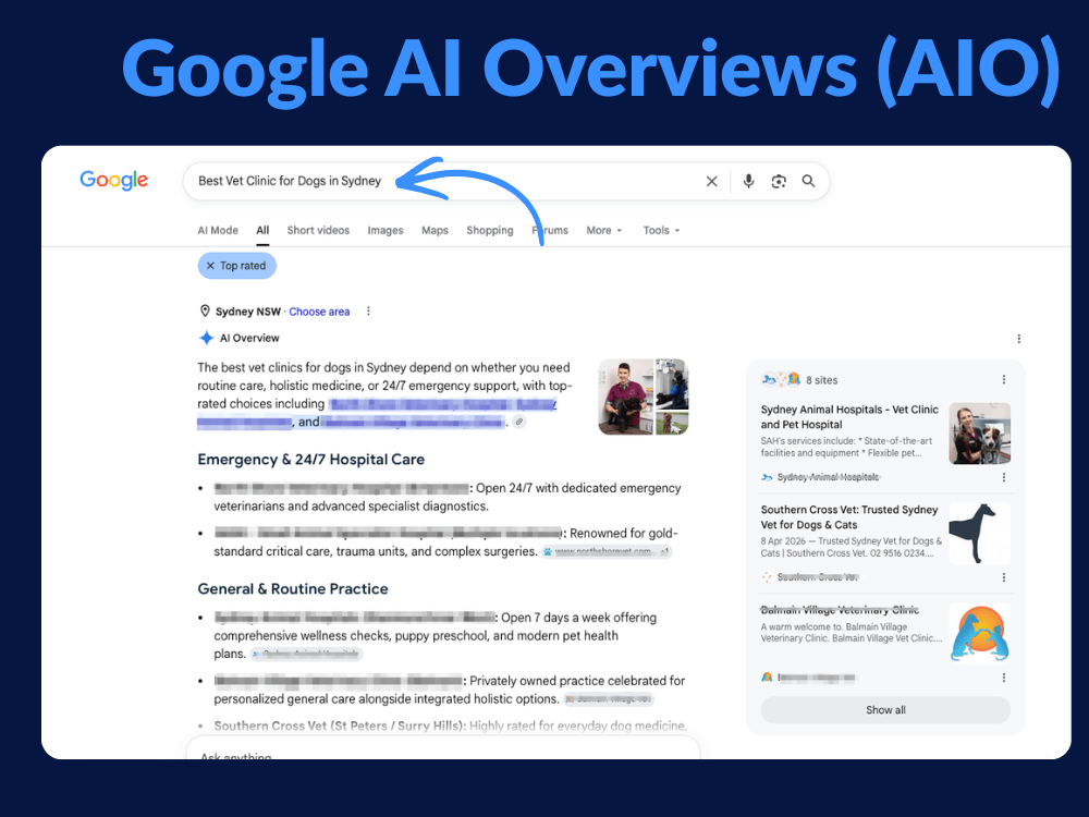 Google AI Overviews (AIO) Example for Vets