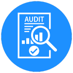 Local Audit Icon