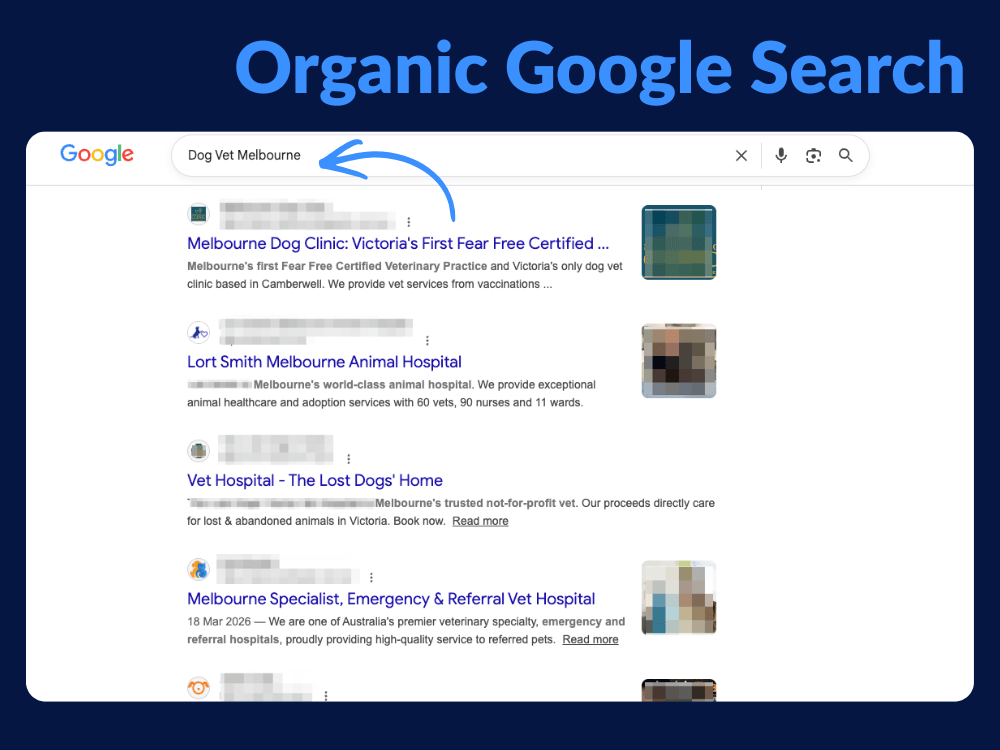Organic Google Search Example for Vets
