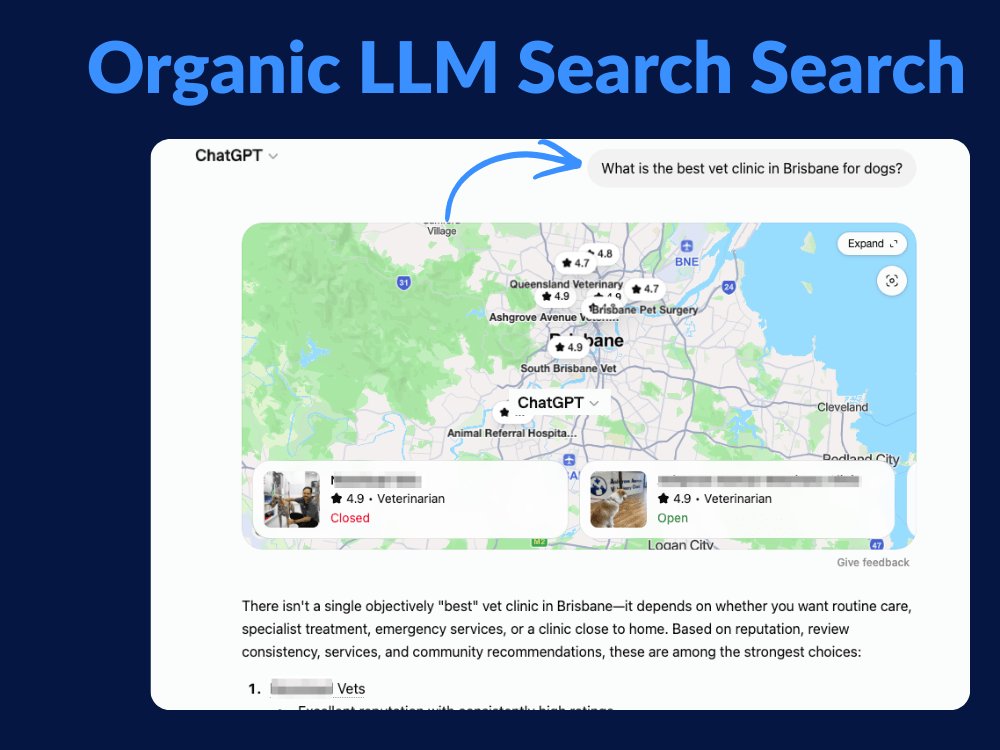 LLMs Example for Vets