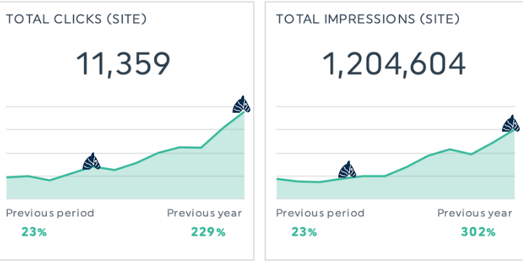 Sydney SEO Case Study Image