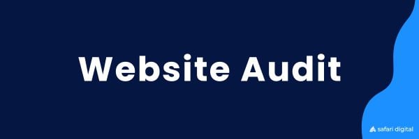 Website Audit Infographic